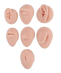 MODELLO IN SILICONE PER ESERCITAZIONE