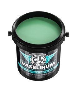 Alternative view of VASELINA THE INKED ARMY - EUCALYPTO 1000ML